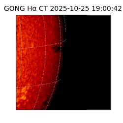 gong - 2025-10-25T19:00:42