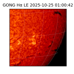 gong - 2025-10-25T01:00:42