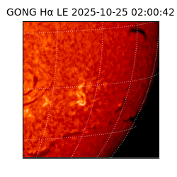 gong - 2025-10-25T02:00:42