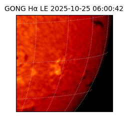 gong - 2025-10-25T06:00:42