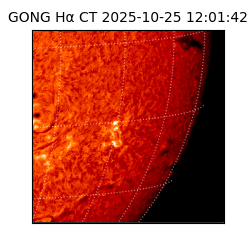 gong - 2025-10-25T12:01:42