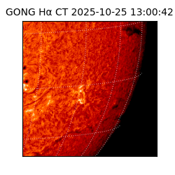 gong - 2025-10-25T13:00:42