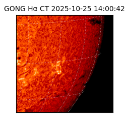 gong - 2025-10-25T14:00:42