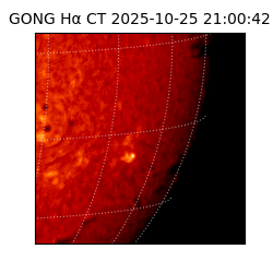 gong - 2025-10-25T21:00:42