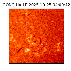 gong - 2025-10-25T04:00:42