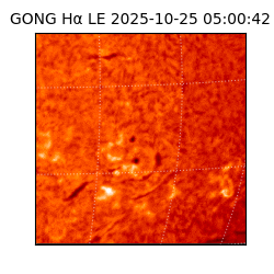 gong - 2025-10-25T05:00:42