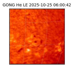 gong - 2025-10-25T06:00:42