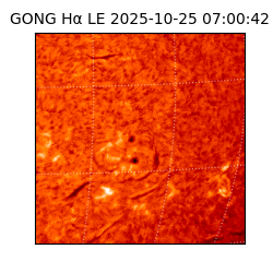 gong - 2025-10-25T07:00:42