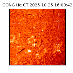 gong - 2025-10-25T16:00:42