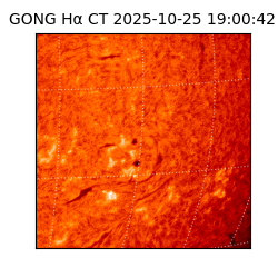 gong - 2025-10-25T19:00:42