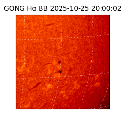 gong - 2025-10-25T20:00:02