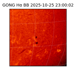 gong - 2025-10-25T23:00:02