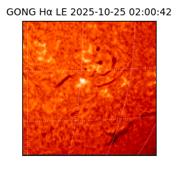 gong - 2025-10-25T02:00:42