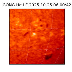 gong - 2025-10-25T06:00:42