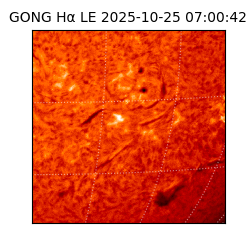 gong - 2025-10-25T07:00:42