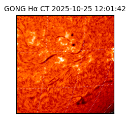 gong - 2025-10-25T12:01:42