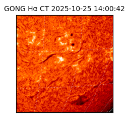 gong - 2025-10-25T14:00:42