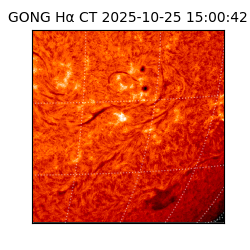 gong - 2025-10-25T15:00:42