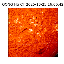 gong - 2025-10-25T16:00:42