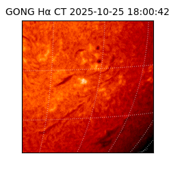 gong - 2025-10-25T18:00:42