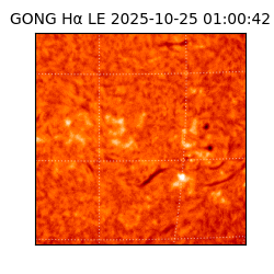 gong - 2025-10-25T01:00:42