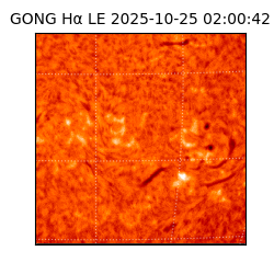 gong - 2025-10-25T02:00:42