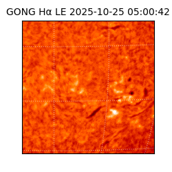 gong - 2025-10-25T05:00:42