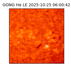 gong - 2025-10-25T06:00:42