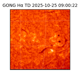gong - 2025-10-25T09:00:22