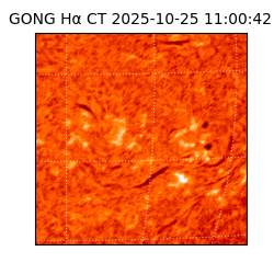 gong - 2025-10-25T11:00:42