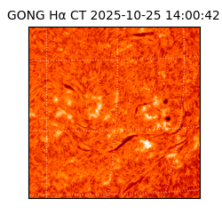 gong - 2025-10-25T14:00:42