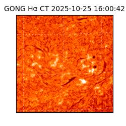 gong - 2025-10-25T16:00:42