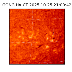 gong - 2025-10-25T21:00:42