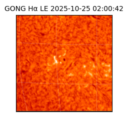 gong - 2025-10-25T02:00:42