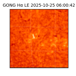 gong - 2025-10-25T06:00:42