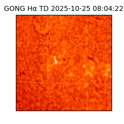 gong - 2025-10-25T08:04:22