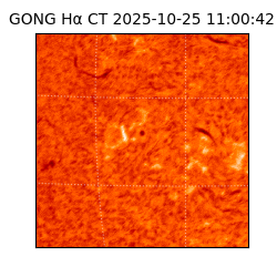 gong - 2025-10-25T11:00:42