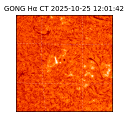 gong - 2025-10-25T12:01:42