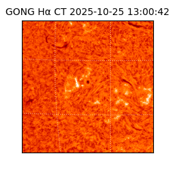 gong - 2025-10-25T13:00:42