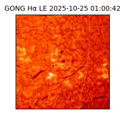 gong - 2025-10-25T01:00:42