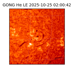 gong - 2025-10-25T02:00:42