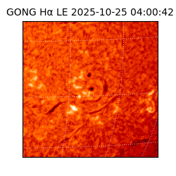 gong - 2025-10-25T04:00:42