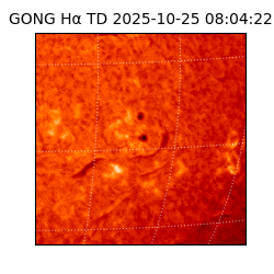 gong - 2025-10-25T08:04:22