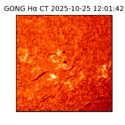 gong - 2025-10-25T12:01:42