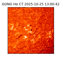 gong - 2025-10-25T13:00:42