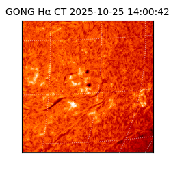 gong - 2025-10-25T14:00:42
