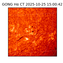 gong - 2025-10-25T15:00:42