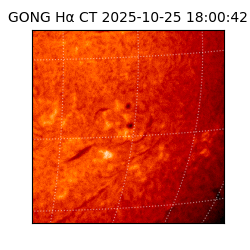 gong - 2025-10-25T18:00:42