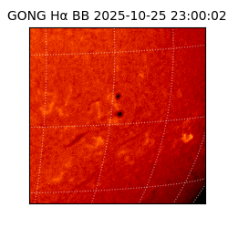 gong - 2025-10-25T23:00:02