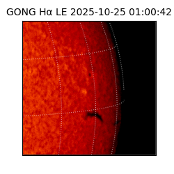 gong - 2025-10-25T01:00:42